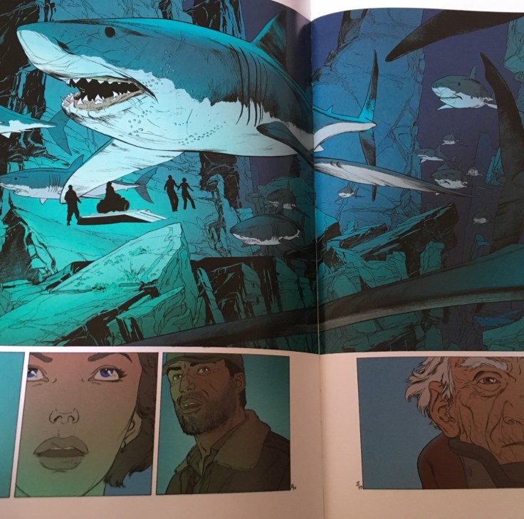 Requins double page